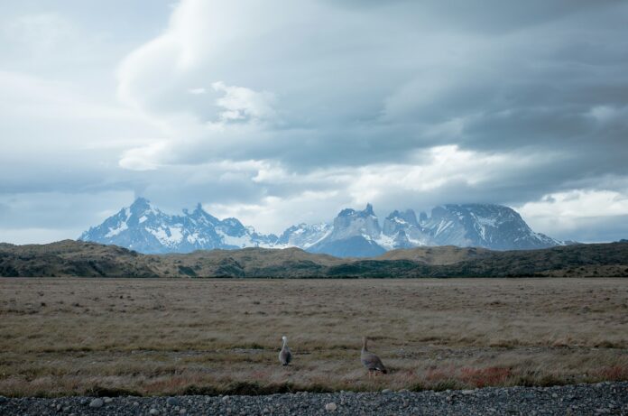 La Patagonia