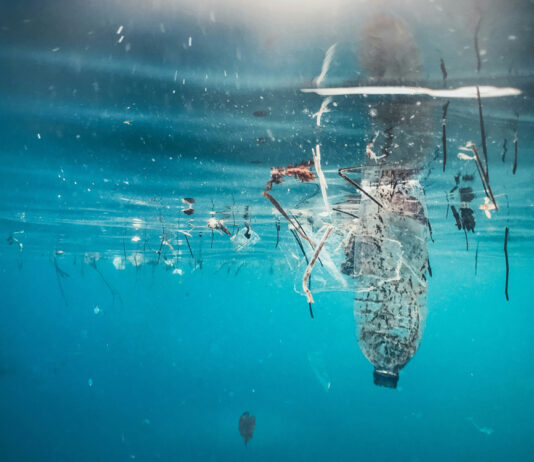 Científicos japoneses crean plástico biodegradable que desaparece en el mar