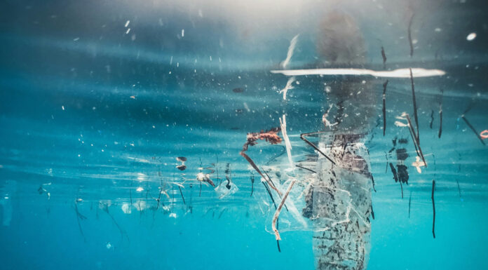 Científicos japoneses crean plástico biodegradable que desaparece en el mar