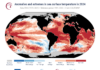 Anomalías y extremos de la temperatura superficial del mar en 2024, el año más caluroso