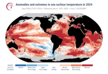 Anomalías y extremos de la temperatura superficial del mar en 2024, el año más caluroso