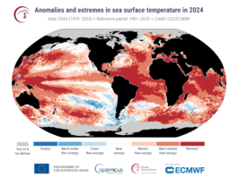 Anomalías y extremos de la temperatura superficial del mar en 2024, el año más caluroso