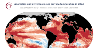 Anomalías y extremos de la temperatura superficial del mar en 2024, el año más caluroso