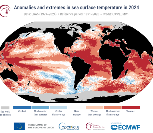 Anomalías y extremos de la temperatura superficial del mar en 2024, el año más caluroso