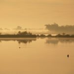 Marismas de Doñana en peligro por la subida del nivel del mar