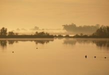 Marismas de Doñana en peligro por la subida del nivel del mar