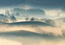 Los secretos de la niebla: un fenómeno natural fascinante