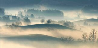 Los secretos de la niebla: un fenómeno natural fascinante