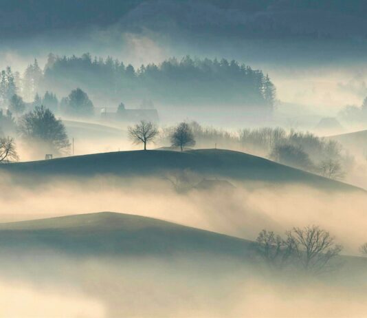 Los secretos de la niebla: un fenómeno natural fascinante