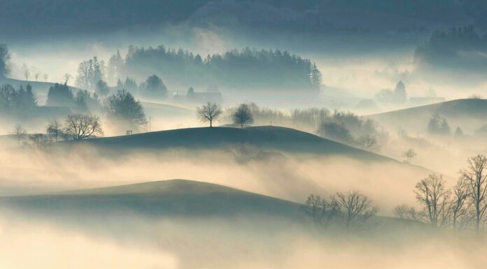 Los secretos de la niebla: un fenómeno natural fascinante