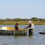 Doñana registra un mínimo histórico de aves acuáticas