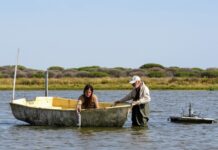 Doñana registra un mínimo histórico de aves acuáticas