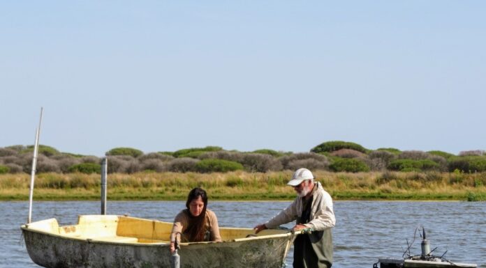 Doñana registra un mínimo histórico de aves acuáticas