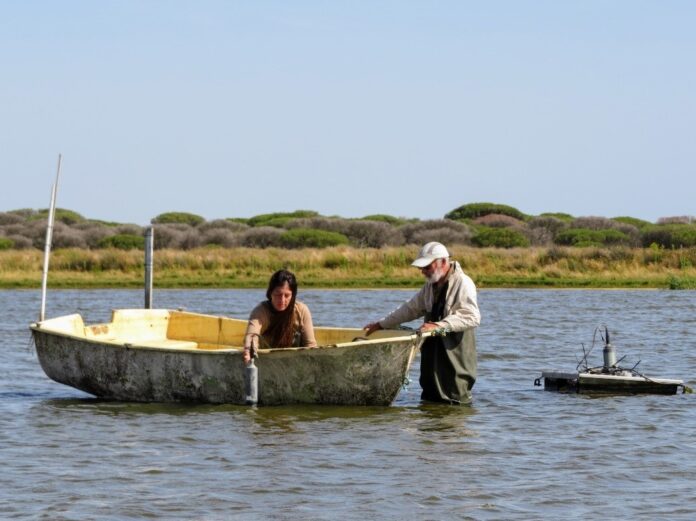 Doñana registra un mínimo histórico de aves acuáticas