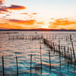 La Albufera de Valencia en peligro tras la DANA