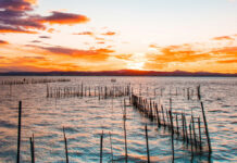 La Albufera de Valencia en peligro tras la DANA