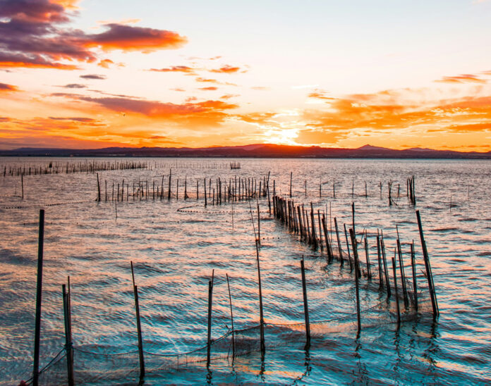 La Albufera de Valencia en peligro tras la DANA