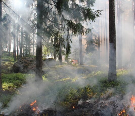 Humo de incendios forestales