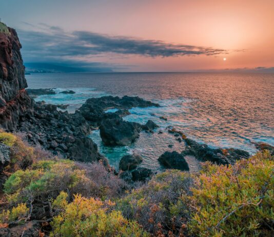 El pez abisal de Tenerife y su lucha contra el cambio climático