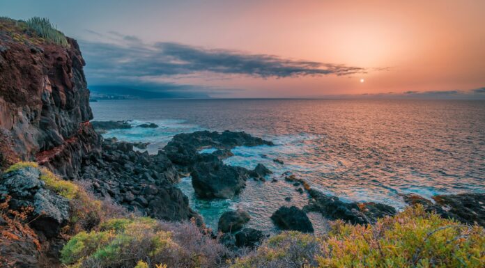 El pez abisal de Tenerife y su lucha contra el cambio climático