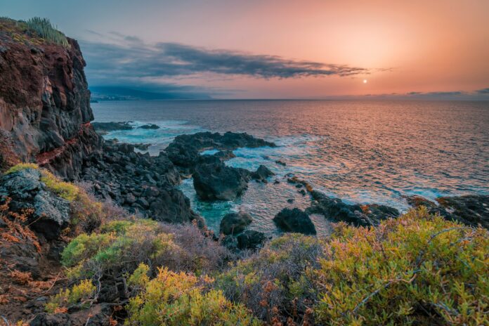 El pez abisal de Tenerife y su lucha contra el cambio climático